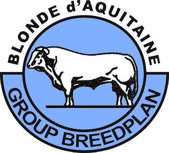Blonde Cattle breedplan uranongo