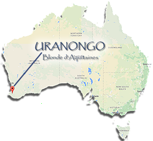 australia uranongo location